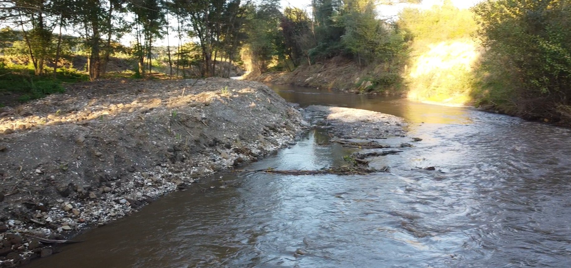 Fiume con rive alberate e ciottoli.