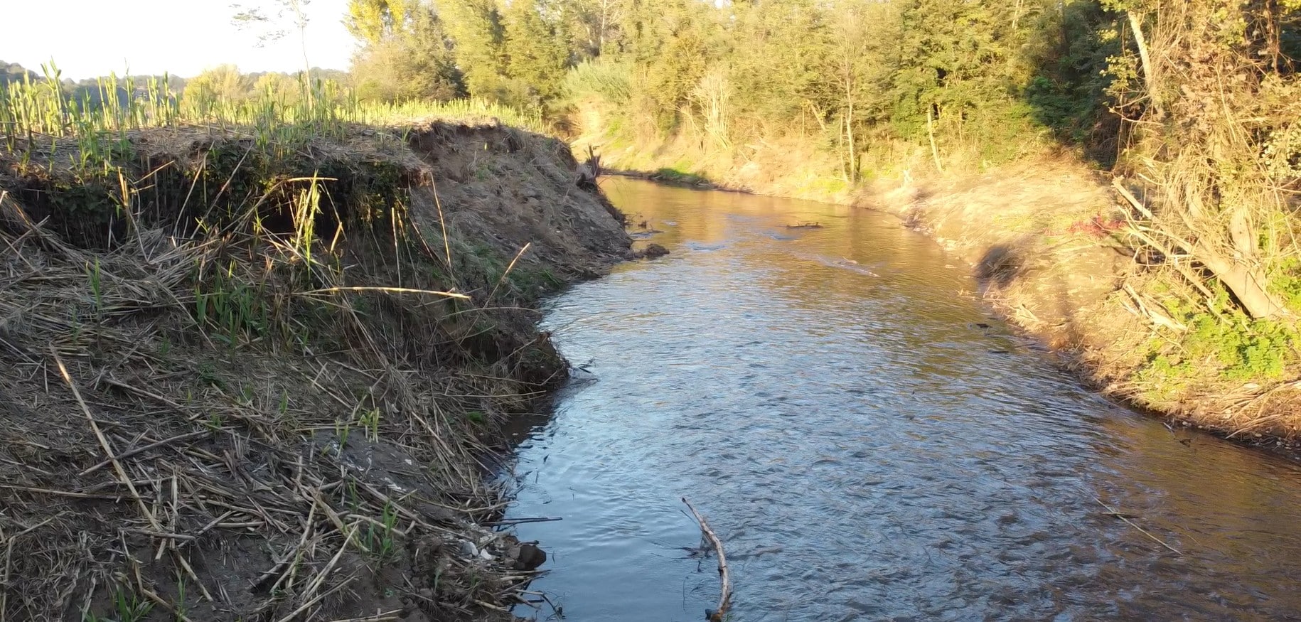 Fiume con sponde erbose e alberi circostanti.